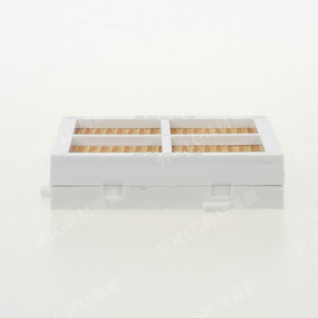 【LG耗材】(900免運)上下門冰箱 空氣淨化過濾器