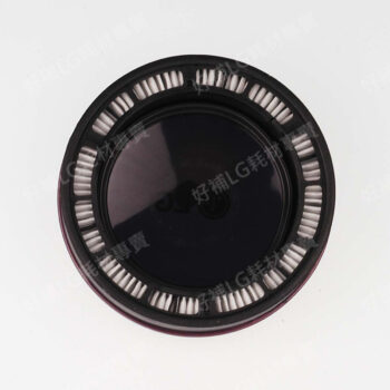 【LG耗材】(免運)紫色 A9+ 可水洗無線吸塵器 HEPA濾網。A9通用