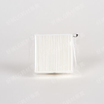 【LG耗材】(900免運)AP300 口罩式清淨機 全效防護濾網(HEPA 13) 2片裝